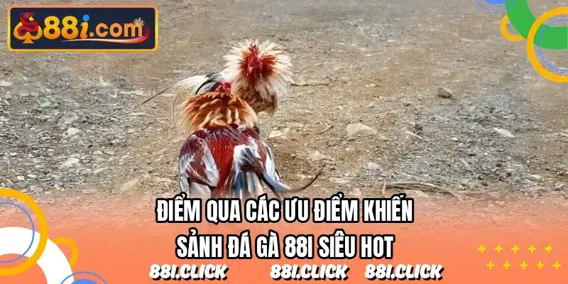 Điểm qua các ưu điểm khiến sảnh đá gà 88I siêu hot