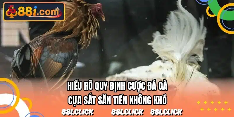 Hiểu rõ quy định cược đá gà cựa sắt săn tiền không khó