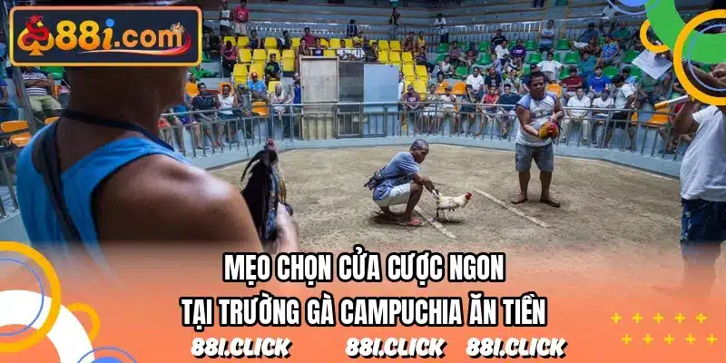 Mẹo chọn cửa cược ngon tại trường gà Campuchia ăn tiền
