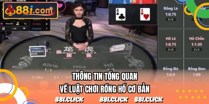 Thông tin tổng quan về luật chơi rồng hổ cơ bản